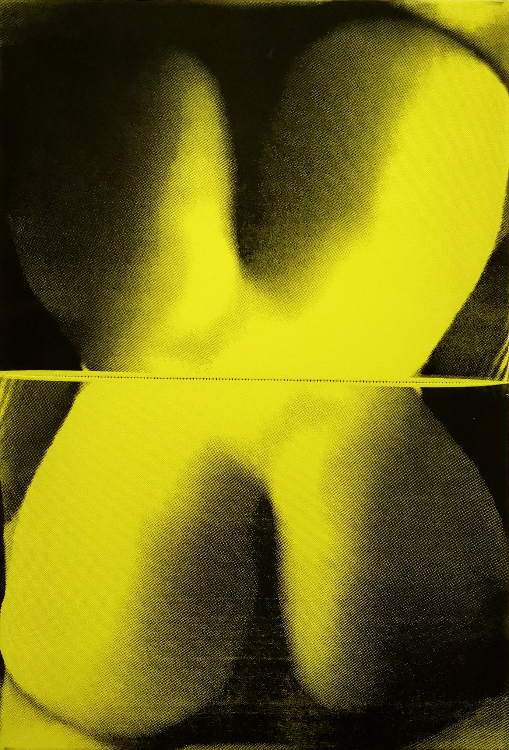 abstract_asses_37x54cm_sieb.jpg